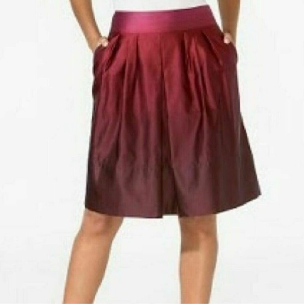 Ann Taylor Ombré Skirt